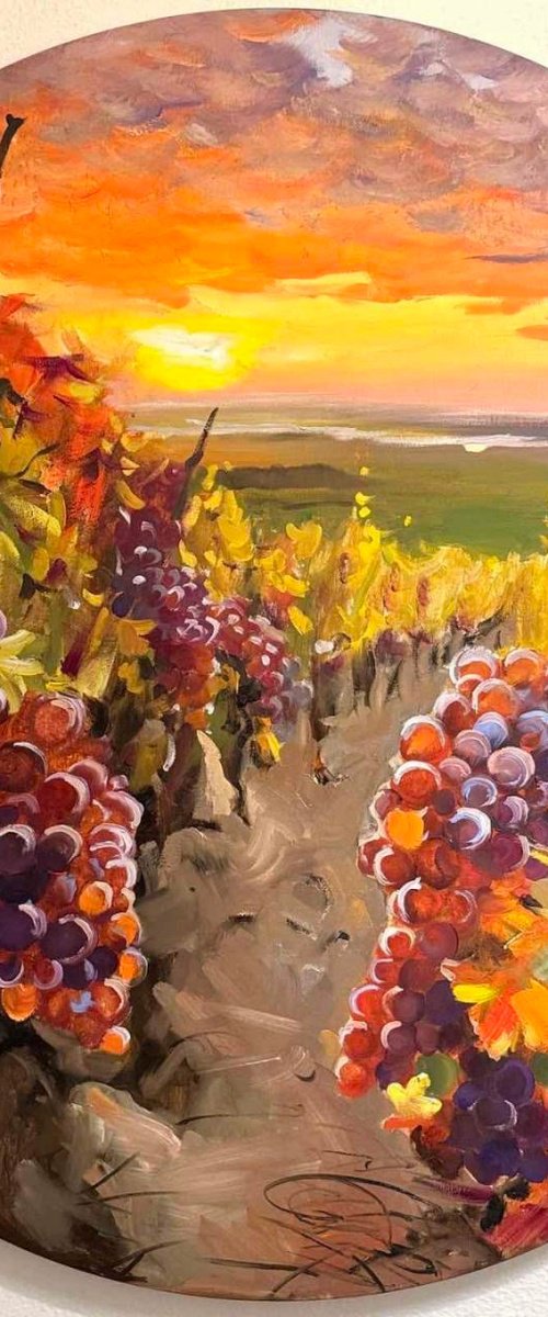 Sun in Toscana by Olena Hromova