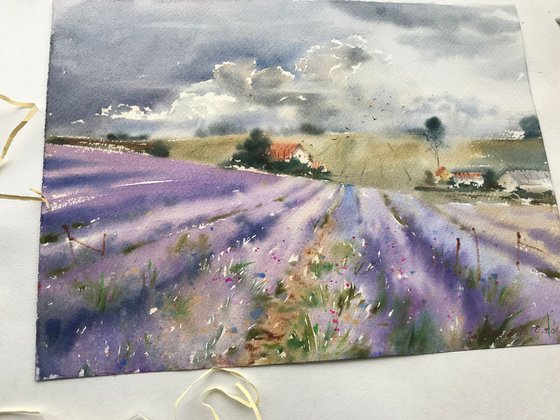 Lavender field and clouds