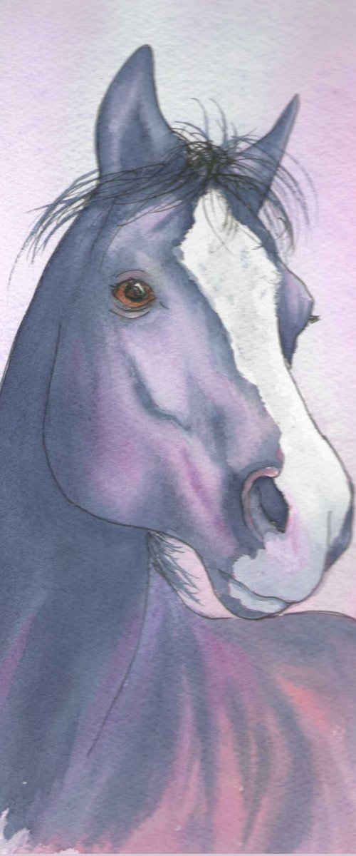 Just a Horse by Gordon Brady