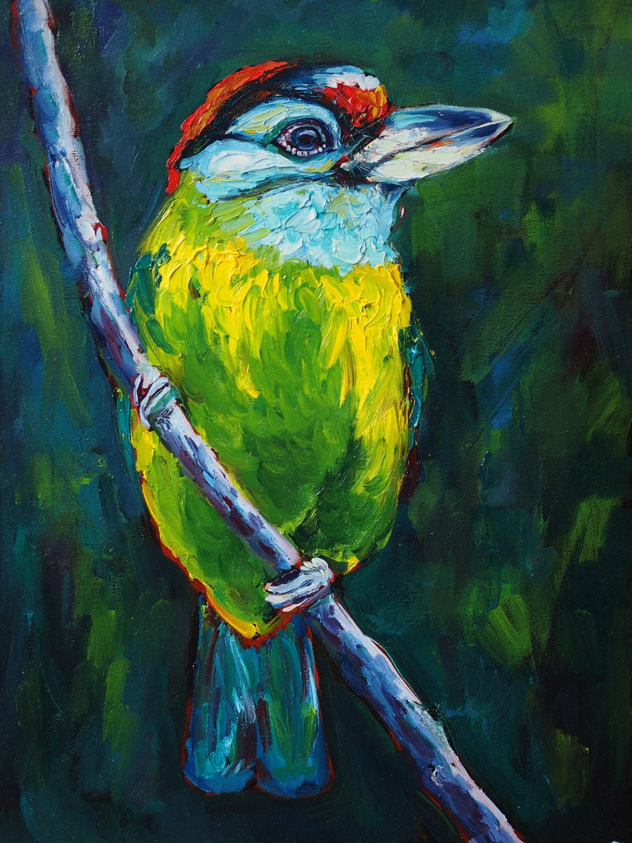 Impressionistic Animal Oil Painting By Alfia Koral, 12 X 16, Blue-Throated Barbet, Original Artwork