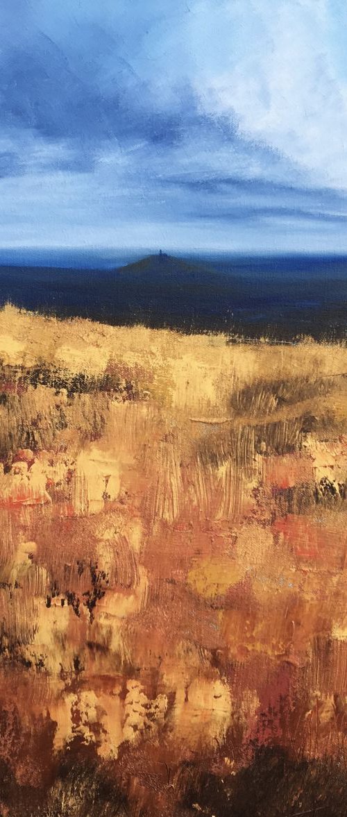 Brentor Blues by Laure Bury