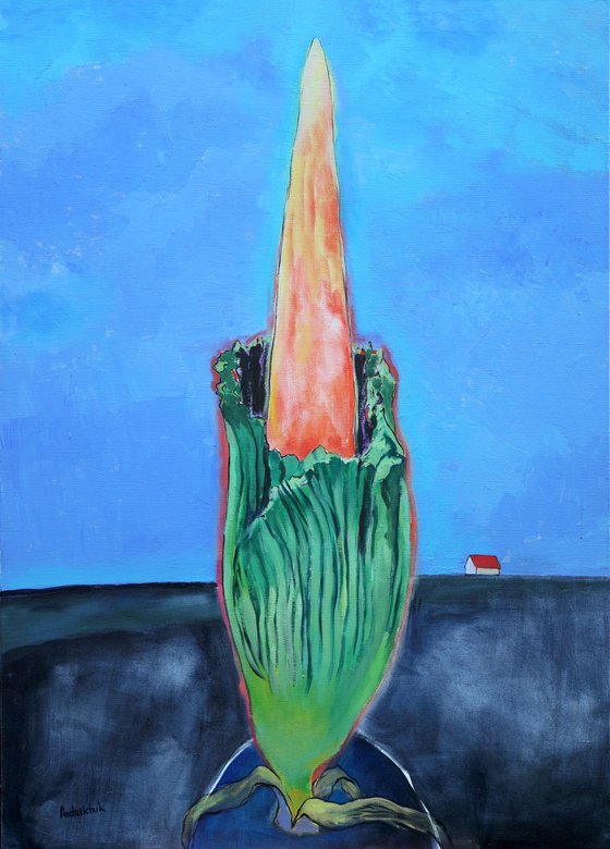 Amorphophallus Titanum 2