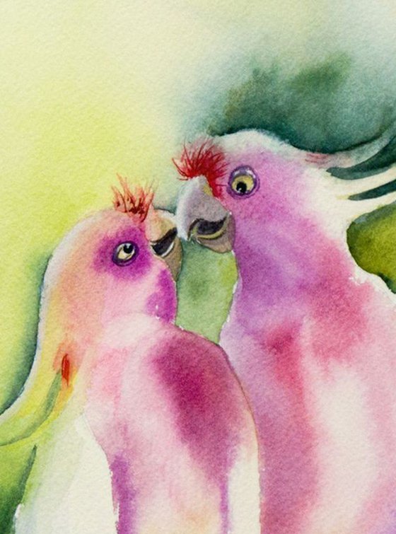 Original Watercolor kissing Parrots painting
