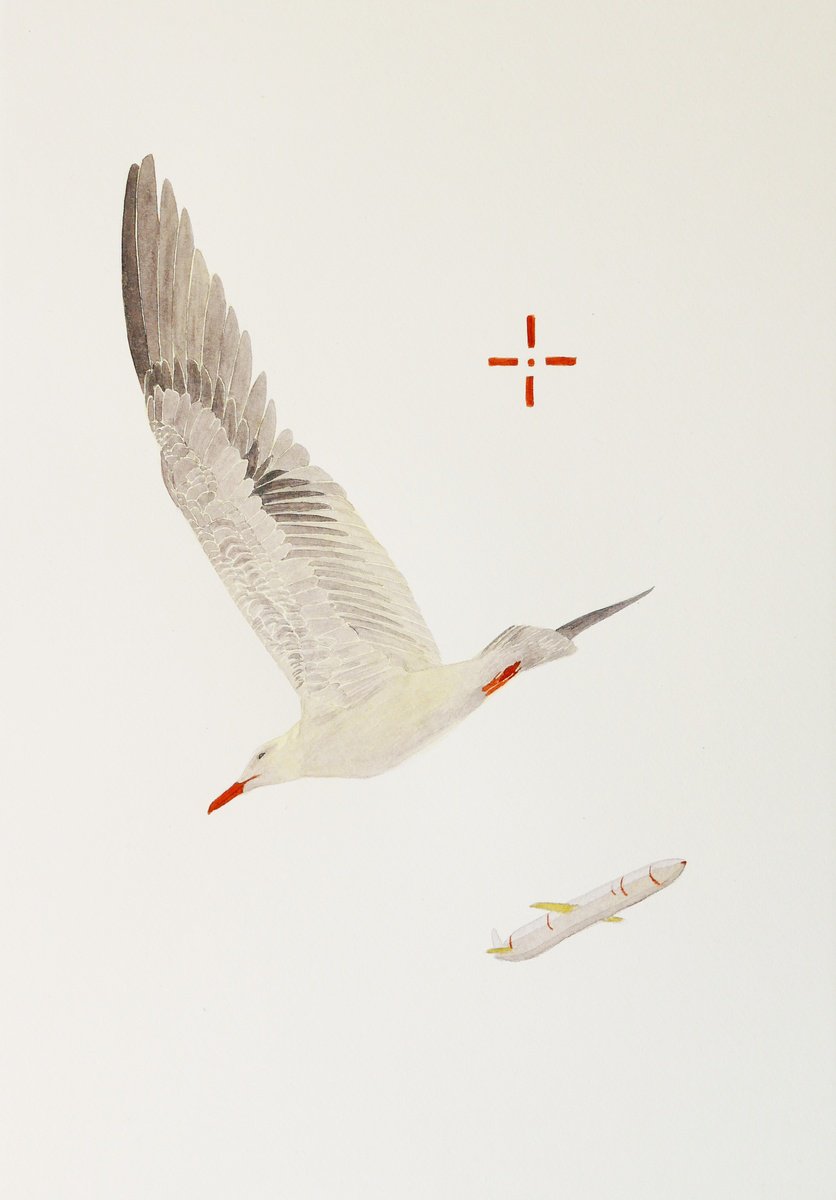 One gull and rocket sketch (3/5) by Karina Danylchuk