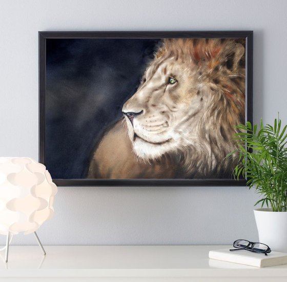 Wise Lion - Lion Portrait  - Africa Big Cat King Leo Wild Cat Leader Pride