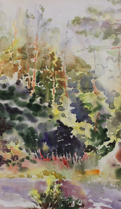 Pine forest by Yurii Pashkov