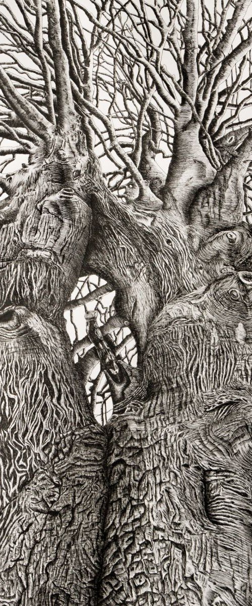 The Essence of my friends. N-7 by Stefan Fierros