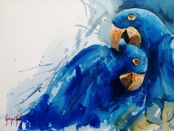 parrot 15