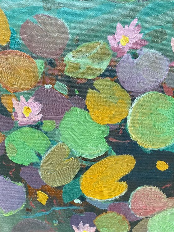 Water lilies