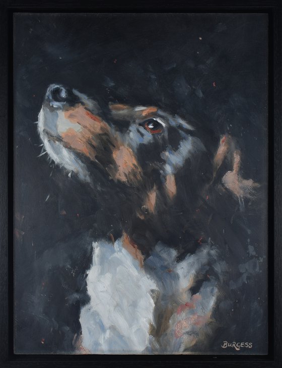 Feeling Proud - Dog portrait - Framed Oil On Board