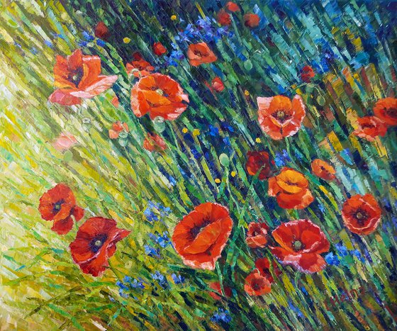 Poppy meadow