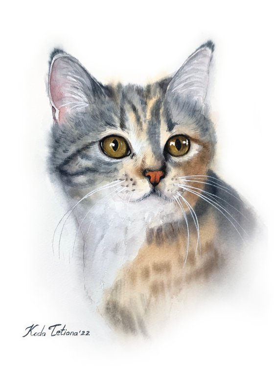 Cat portrait