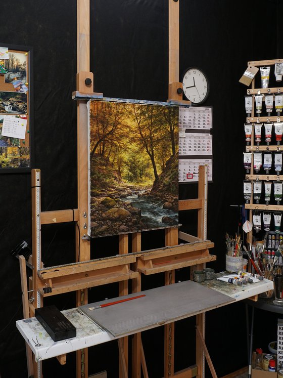 A lively stream in the autumn forest