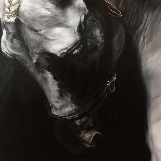 Oil painting with a horse Aristocrat 80 * 100 cm