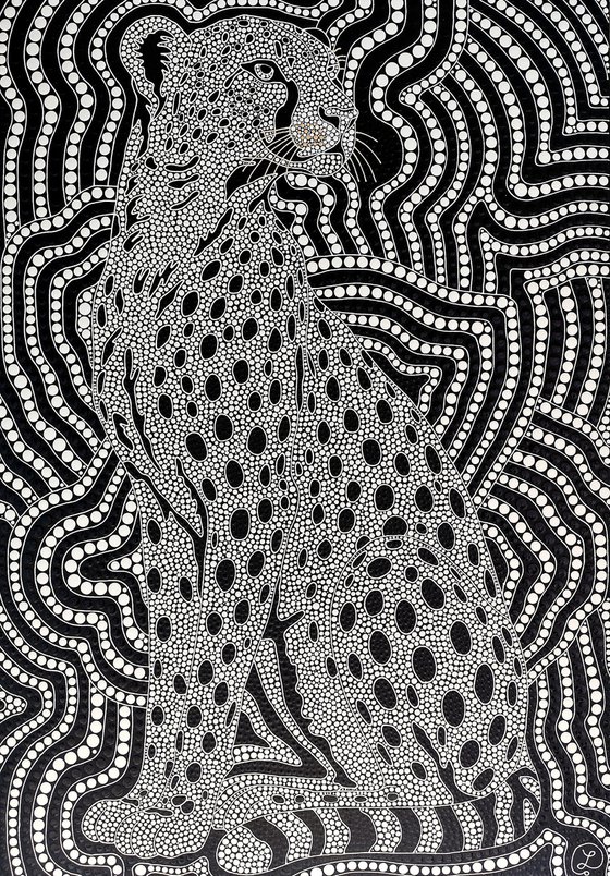 Wild Illusion