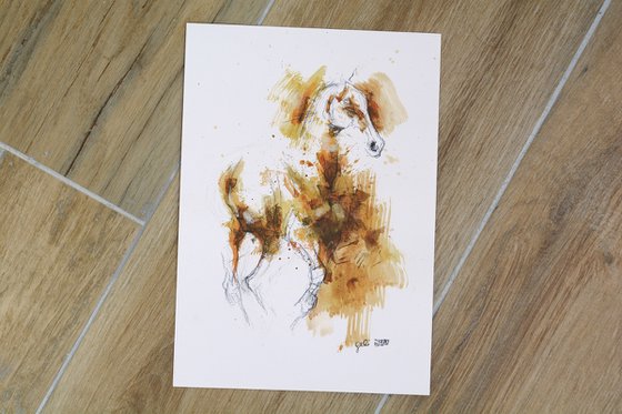 Equine nude 270