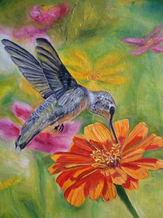 Hummingbird
