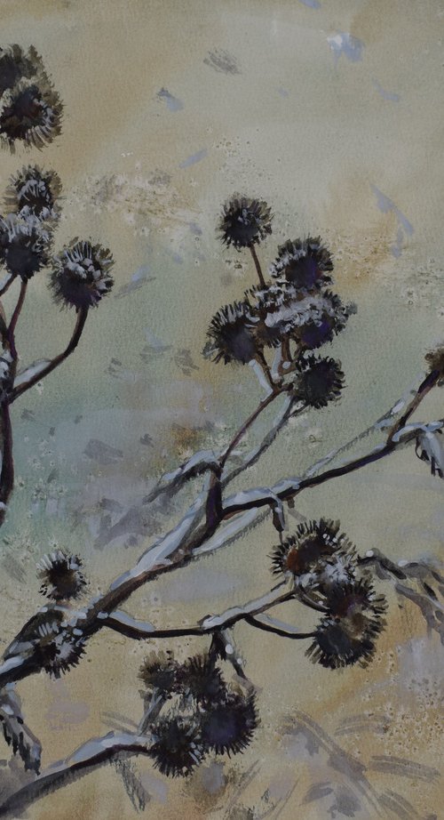 The long winter.Burdock. by Elena Sanina