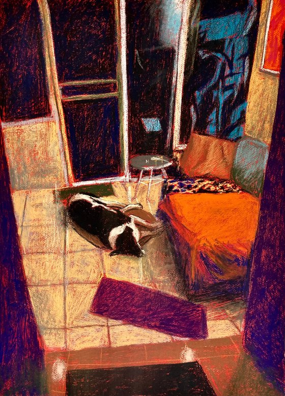 Interior with dog