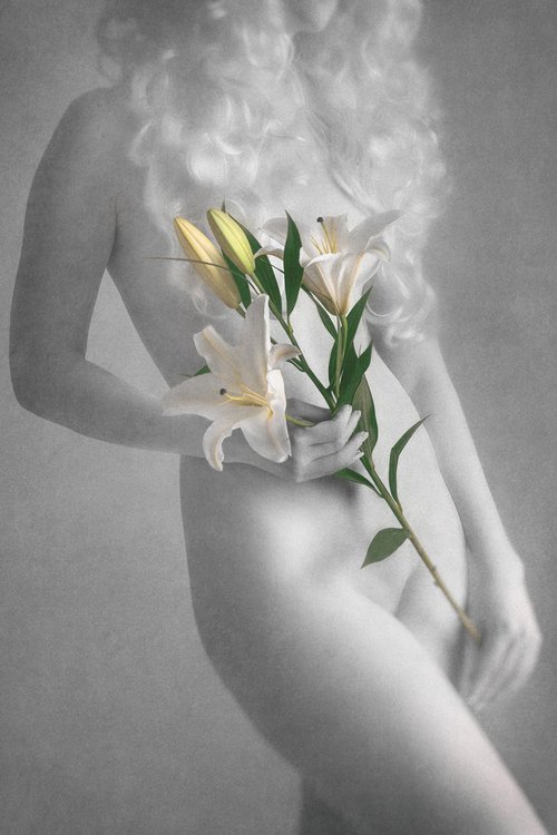 Lily II. - Art Nude by Peter Zelei