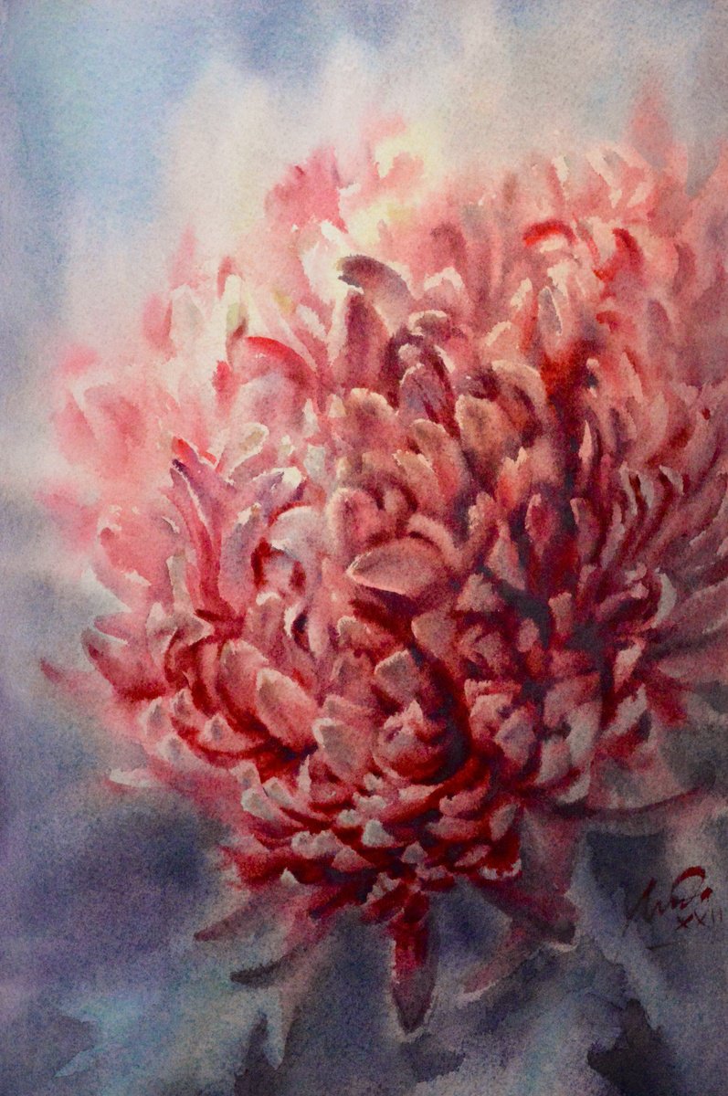 Chrysanthemum by Lida Duchnewitsch