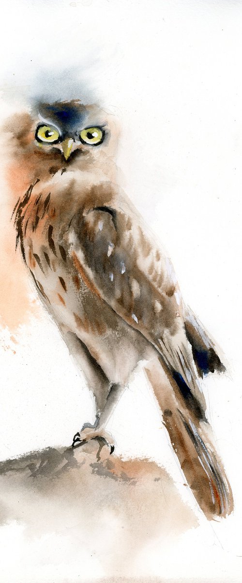 Young Owl by Olga Tchefranov (Shefranov)