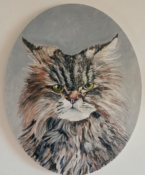Grumpy cat by Isabelle Lucas