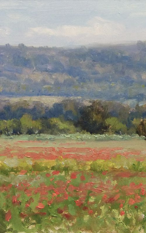 Poppies Field by Pascal Giroud