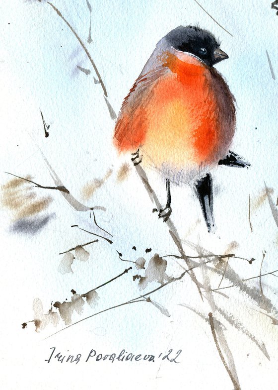 Bullfinches on branch original watercolour painting with two bright winter birds gift idea