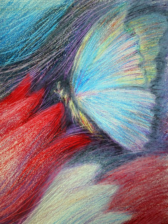Tulips and Butterfly