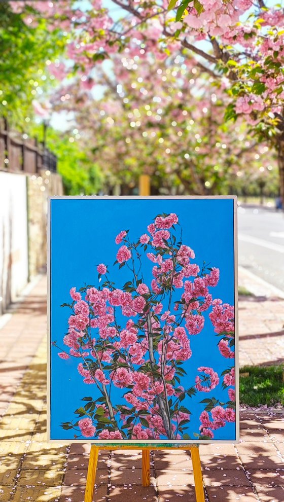 photorealism - cherry blossoms