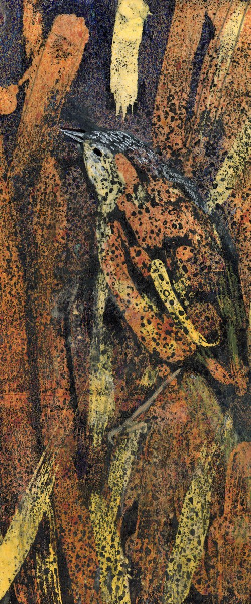 Sedge Warbler by Elizabeth Anne Fox
