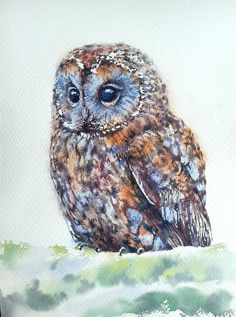 Photorealistic Animal Watercolour By Sonata Art, 12 X 16", Owl, Original Artwork