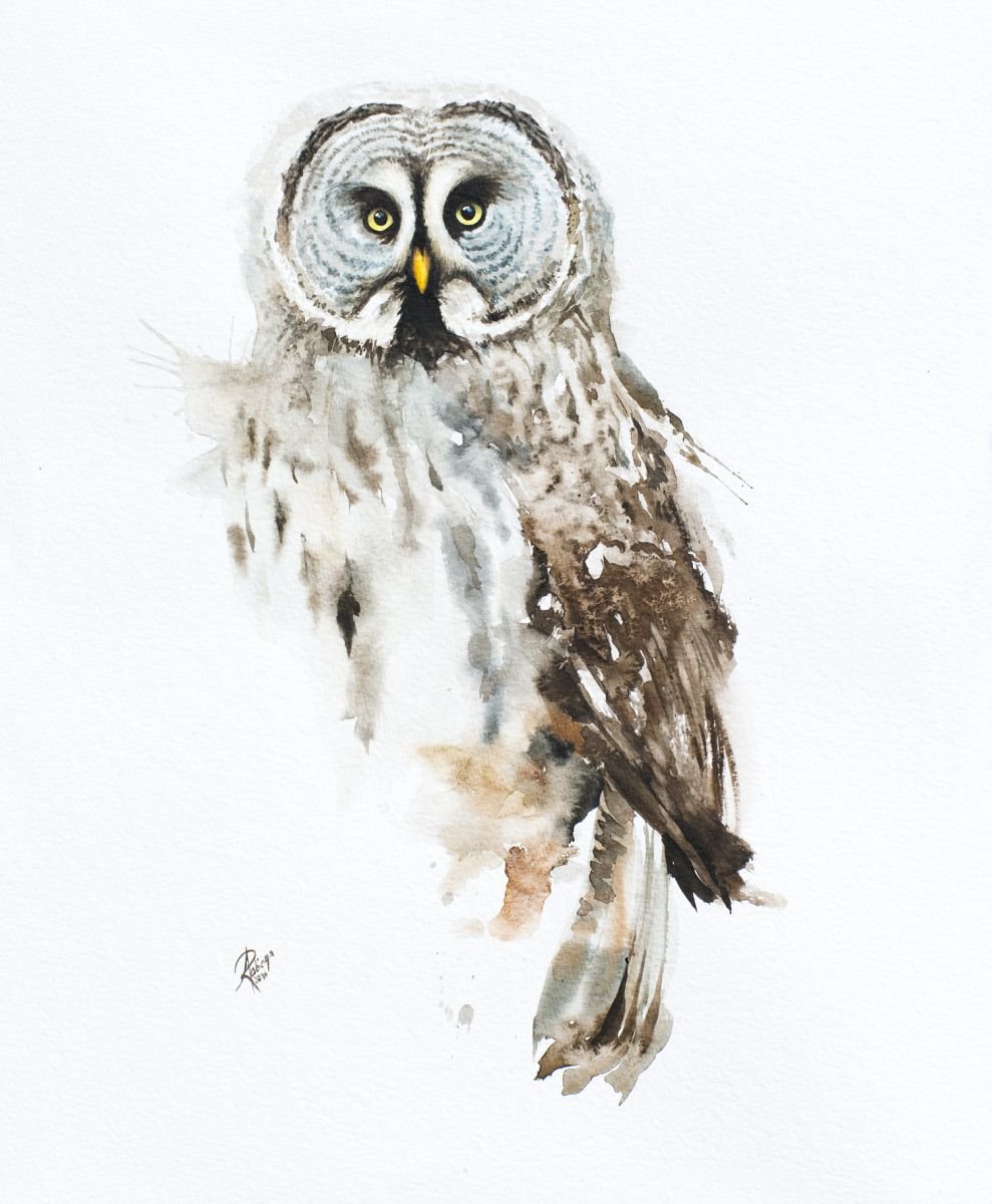 Illustrative Watercolour , Great Grey Owl (Strix Nebulosa) By Andrzej Rabiega, 21 X 29, Artwork For Sale On Artfinder
