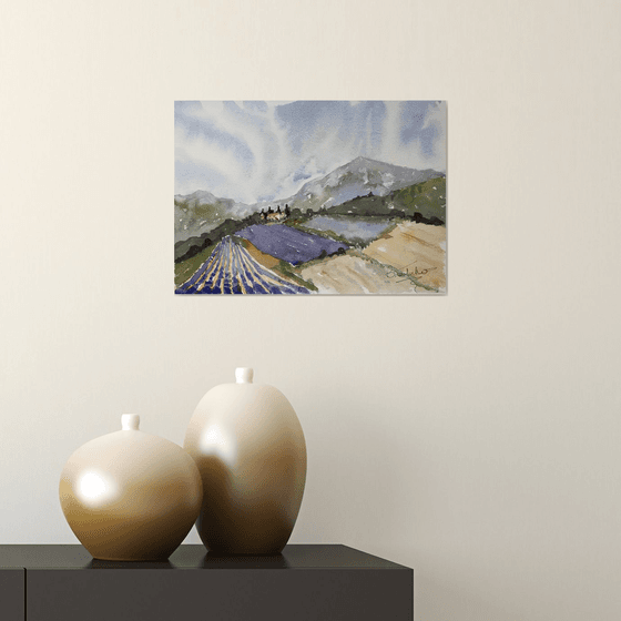 Lavender in Provence 3