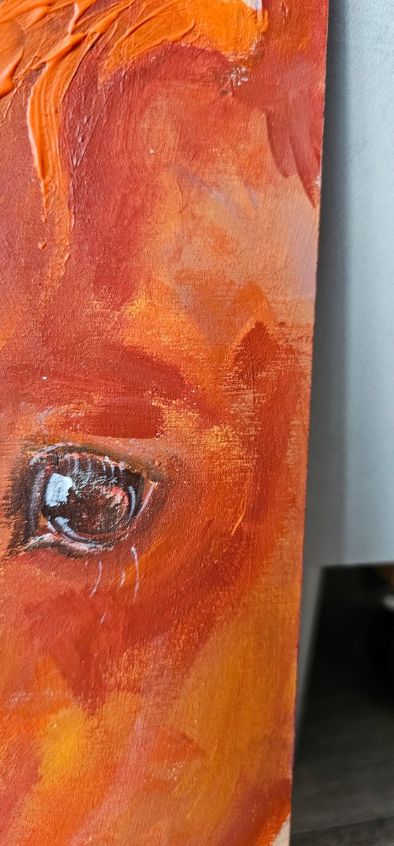 Orange chestnut horse profile