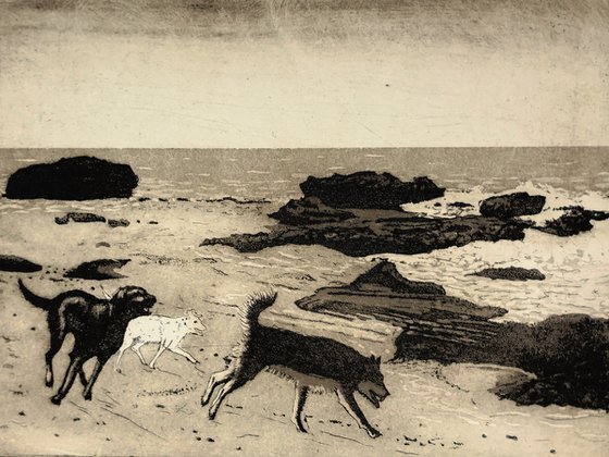 Dogs on a Beach