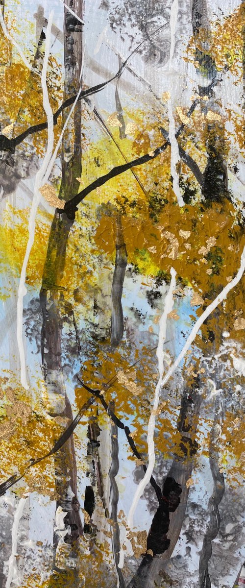 Autumn Silver Birch Trunks by Teresa Tanner