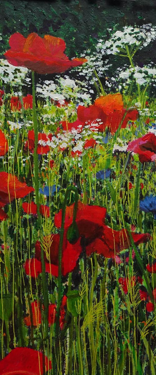 Wildflower Meadow 6 by Roz Edwards