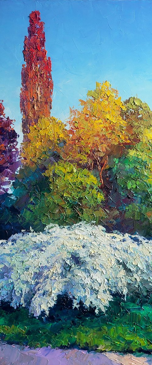 Spirea Wangutta by Boris Serdyuk