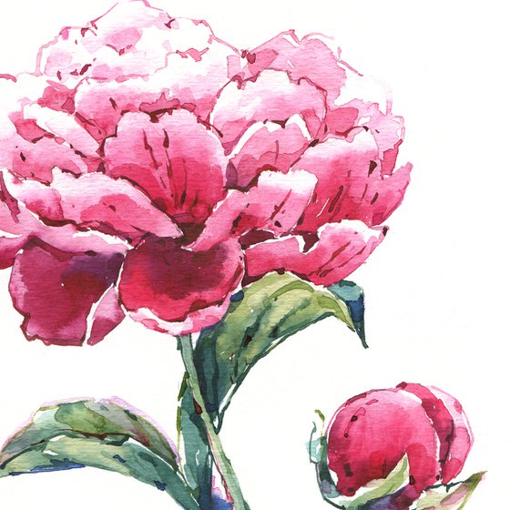 "Peony flower" original botanical watercolor square format