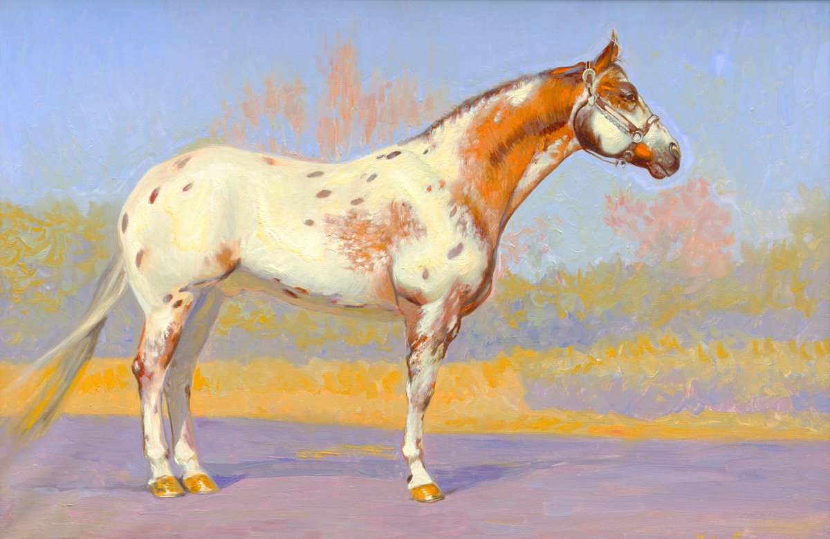 Appaloosa Horse by Simon Kozhin