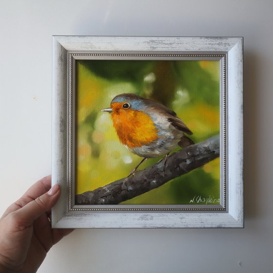 Robin Bird Painting