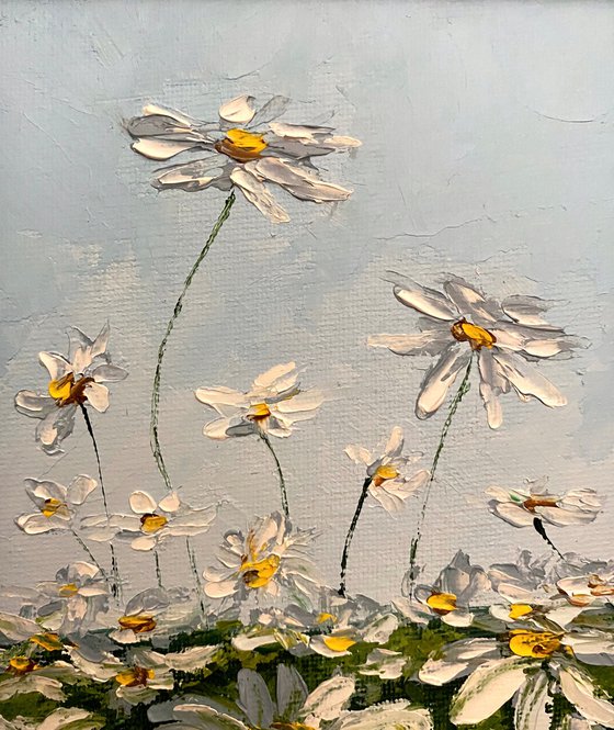 Delicate daisies