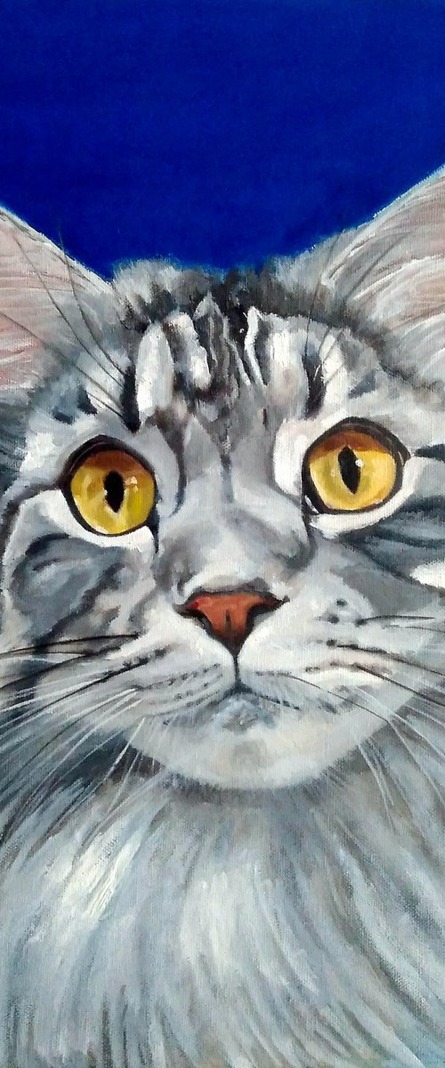 Grey Cat by Yulia Berseneva