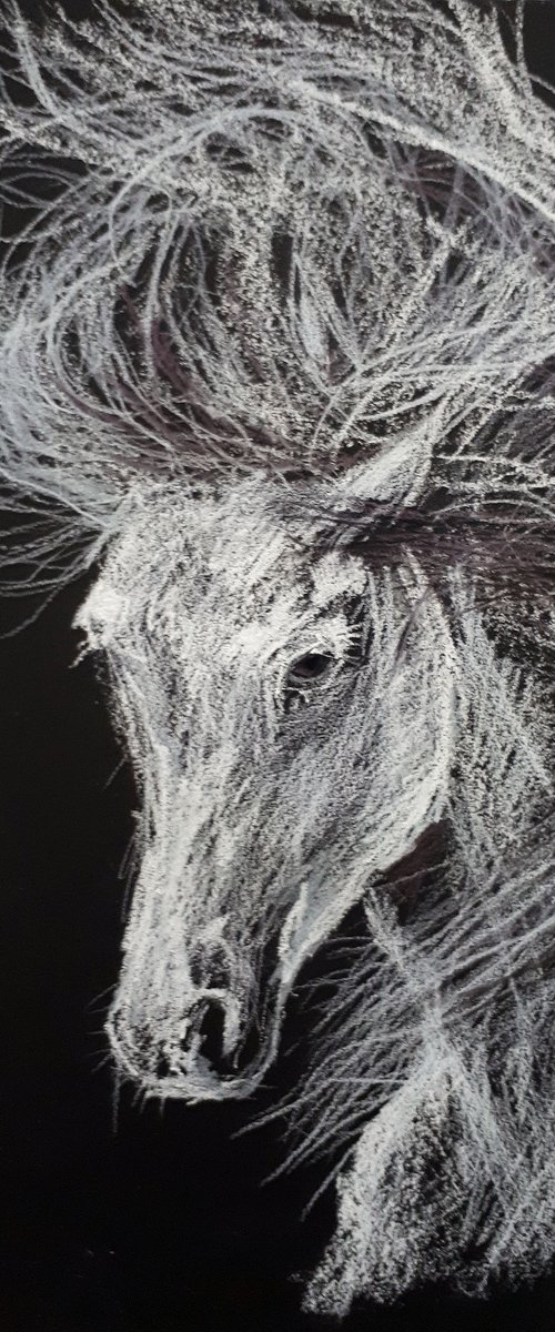 Horse I Sketch  /  ORIGINAL PAINTING by Salana Art