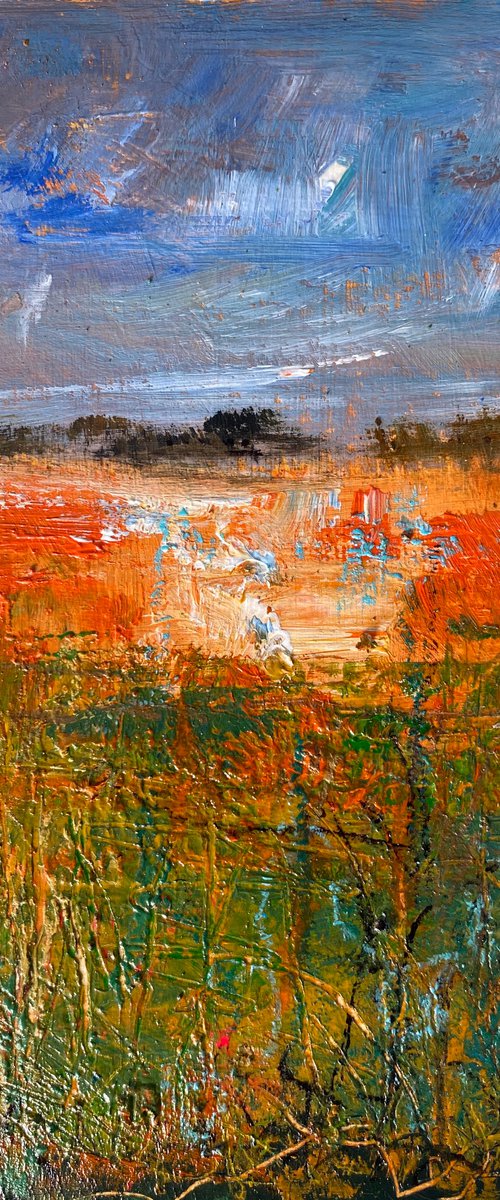 Warmth of the fields by Teresa Tanner