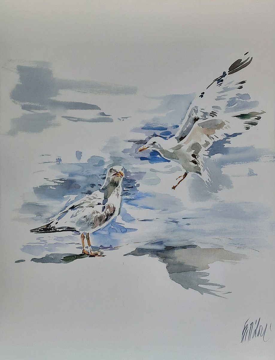 Seagulls by Boyana Petkova