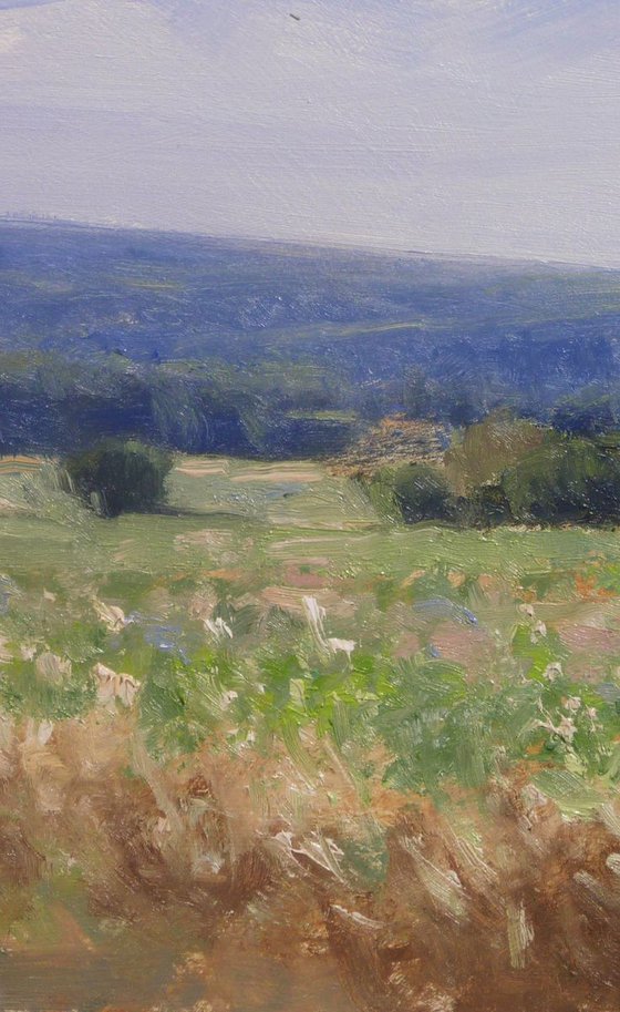 Field near Sisteron