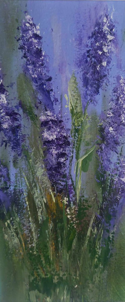 Lavender by Angela Titirig